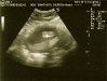 scan0001.jpg