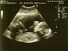 scan0002.jpg