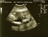 scan0003.jpg