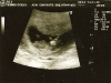 scan-1.jpg
