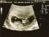 scan-2.jpg