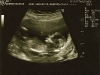 scan020908_1.jpg
