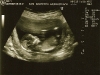 scan020908_2.jpg